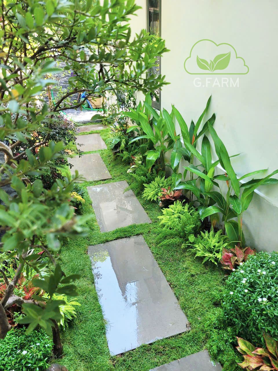 Thiết kế thi công sân vườn biệt thự Greenbay Mễ Trì